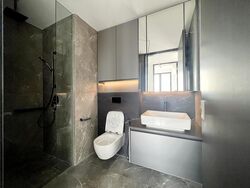 Irwell Hill Residences (D9), Apartment #467208211